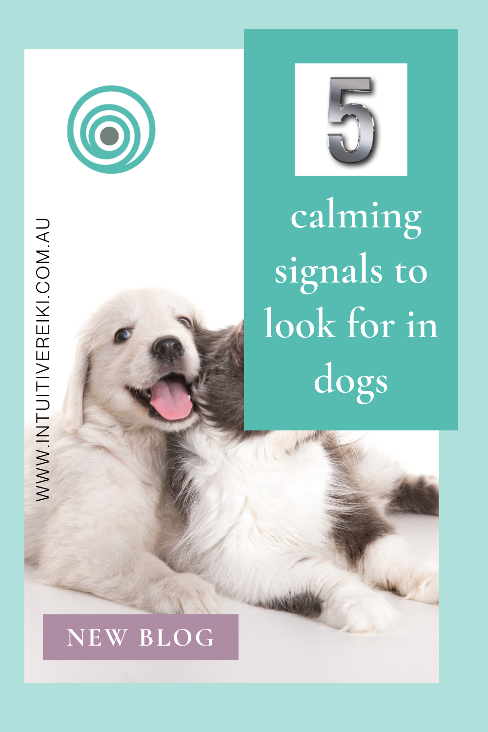 There are many Powerful ways to communicate with our Pets more deeply- The simplest but highly beneficial ways are through Behaviour and Calming Signals and Telepathic Communication.